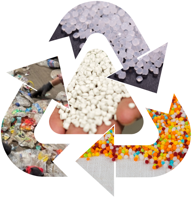 Green Pet Flakes Manufacturer