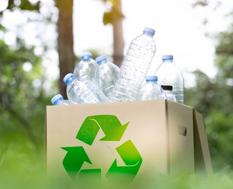 PET Recycling Company